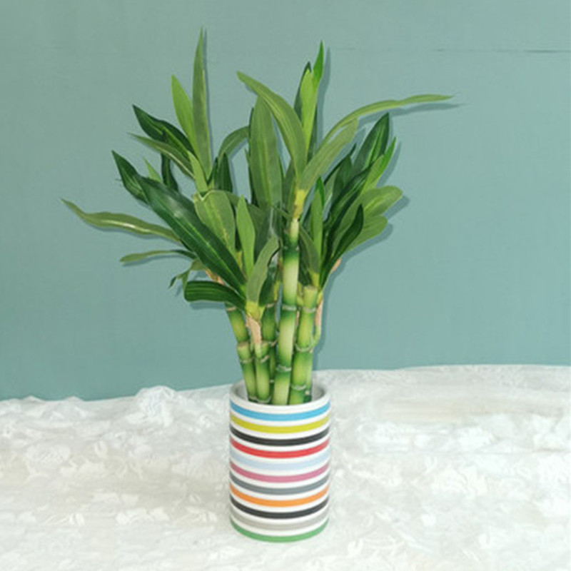 Nowy 40cm rFtificial Lucky Bam – Desktop Organizer Bamboo recenzja i cena