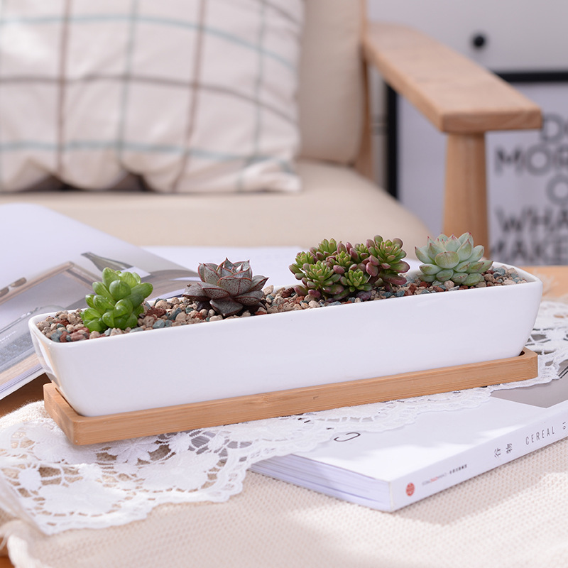 Długi prostokątny biały cerami – Desktop Organizer Bamboo recenzja i cena