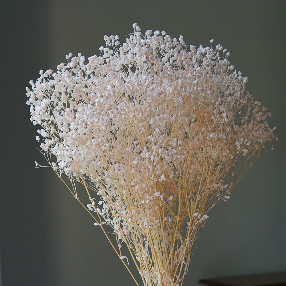 50g/Kolorowy Naturalny Konserw – Home Office Bleaching recenzja i cena